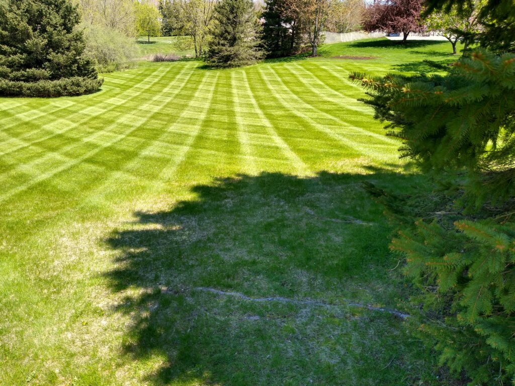 lawn mowing in ann arbor brians service image